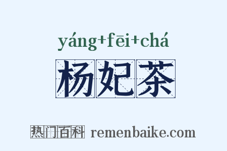 杨妃茶是什么意思的图片